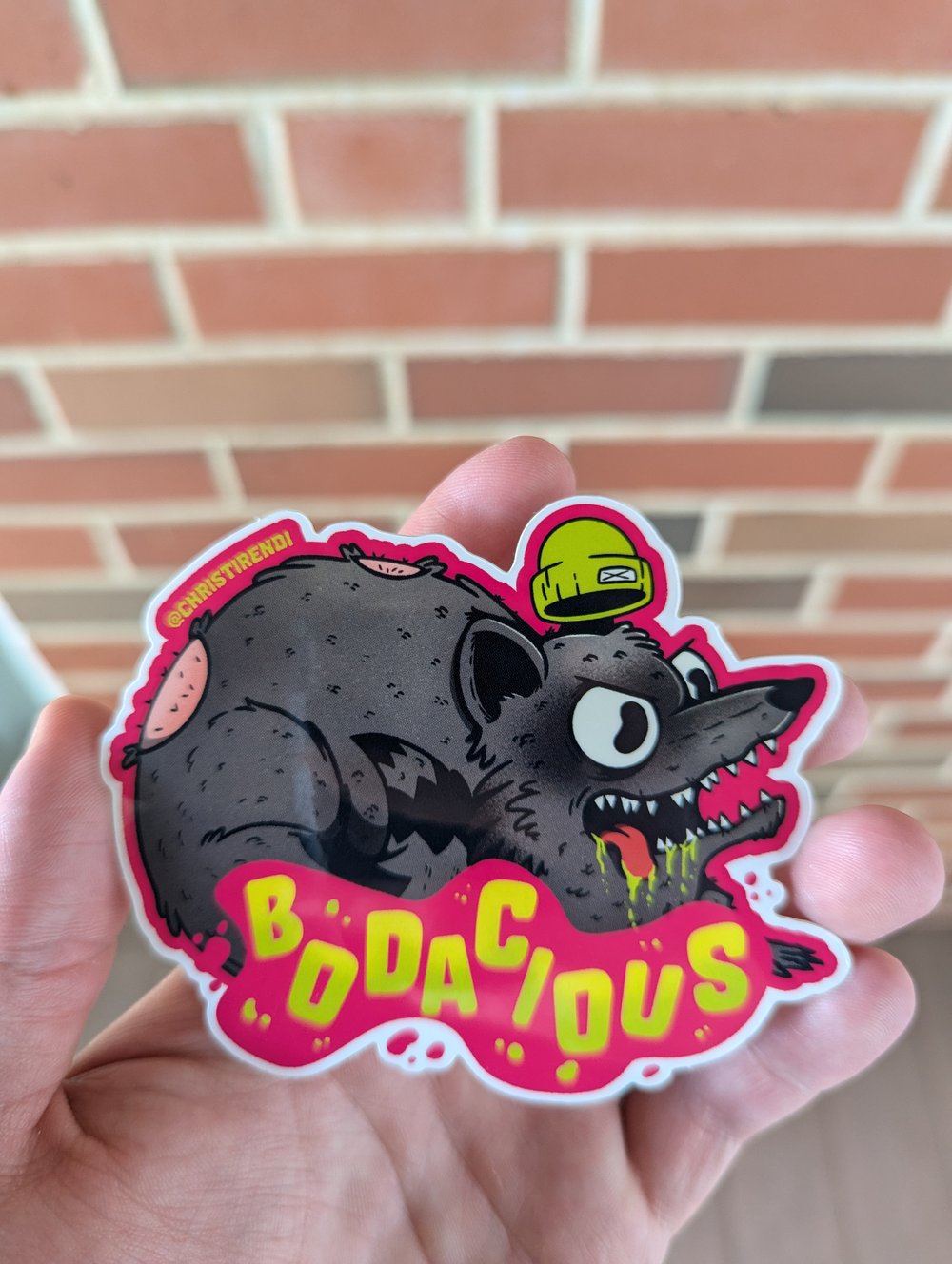 Bodacious Raccoon