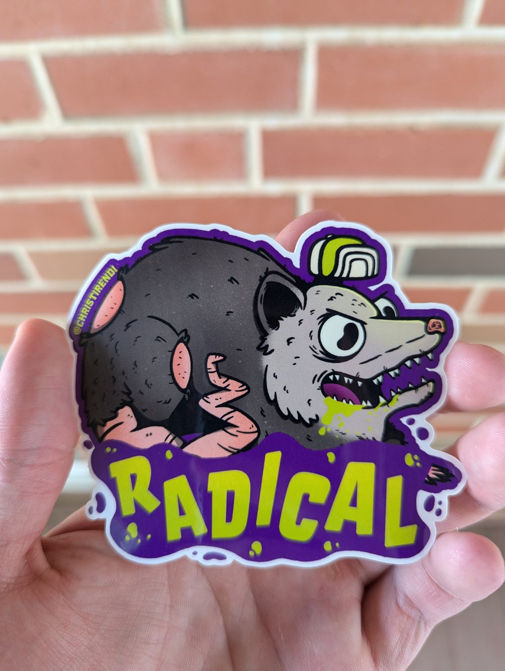 Radical Opossum