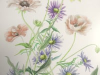 Image 3 of Vintage Watercolour Painting of Poppies & Wildfowers by D A Morris, Frame Size 16 7/10 x 12 7/10 ins