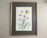 Image 1 of Vintage Watercolour Painting of Poppies & Wildfowers by D A Morris, Frame Size 16 7/10 x 12 7/10 ins