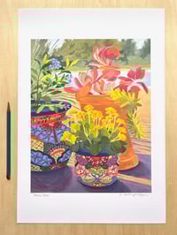 'Patio Pots'- archival print
