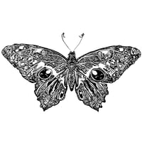 Mirror Wings Moth - Print