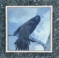 Crow #1