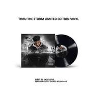 Image 1 of THRU THE STORM (Vinyl) | COLLECTORS EDITION