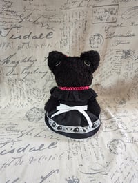 Image 4 of Tiny Taffeta Kitty Set