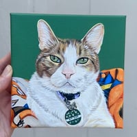 6 x 6 Pet Portrait