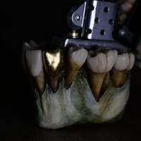 Image 17 of Custom Dental Zippo Lighter|Old Bone Textures |Swarovski crystal| Morgans Mutations