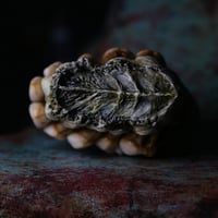 Image 4 of Custom Dental Zippo Lighter|Old Bone Textures |Swarovski crystal| Morgans Mutations