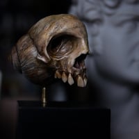 Image 3 of Snail Skull| Snull Sculpture