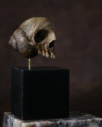 Image 9 of Snail Skull| Snull Sculpture