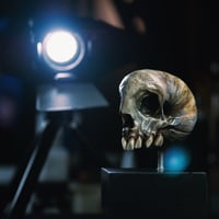 Image 5 of Snail Skull| Snull Sculpture