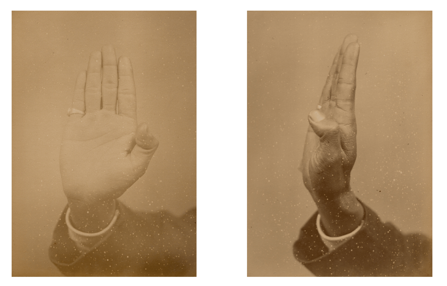 Image of Prince Roland Bonaparte: "Collection anthropologique" hand, Malaysia ca. 1884