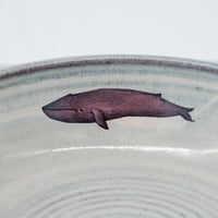 Image 7 of Whale Pasta Bowl