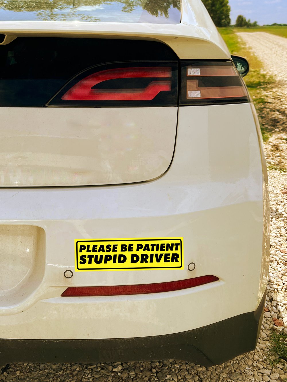 Image of Please Be Patient Stupid Driver Sticker or Magnet