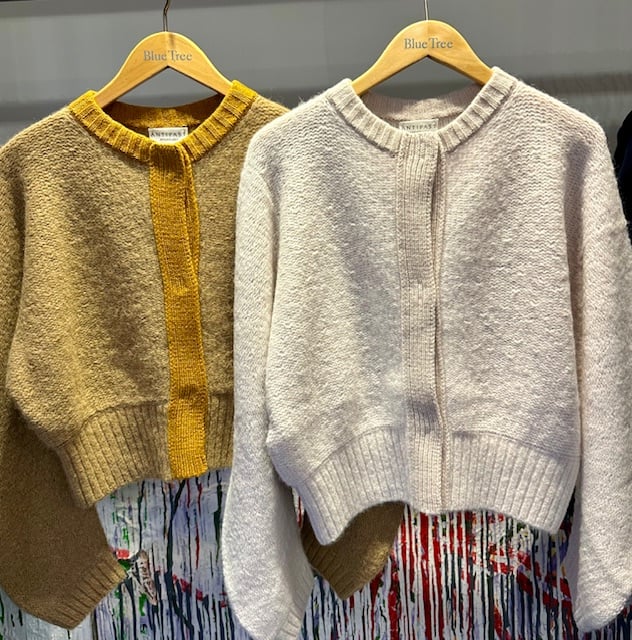 Image of Antipast F/W'24 Baby Alpaca Cardigan (Two Colors)