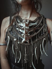 Image 4 of Feral armor bib