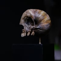 Image 2 of Snail Skull| Snull Sculpture