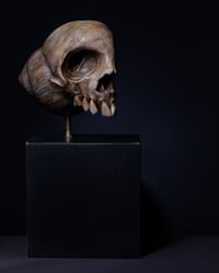 Image 6 of Snail Skull| Snull Sculpture