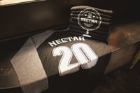 Nectar 20 Year Anniversary Raglan