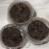Image 3 of Incense (Unsi)  House guest
