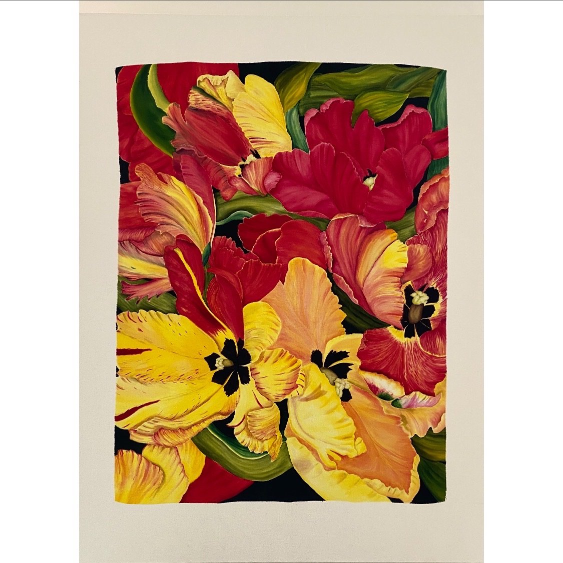 Image of PARROT TULIPS
