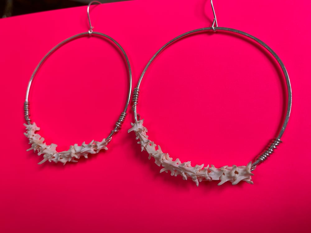 Image of Snake Vertebrae Hoops