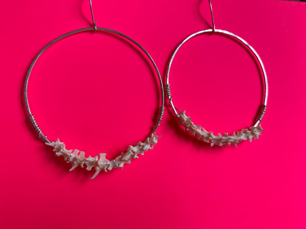 Image of Snake Vertebrae Hoops