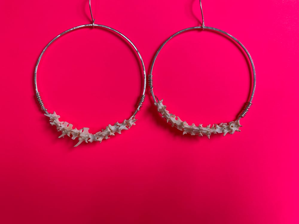 Image of Snake Vertebrae Hoops