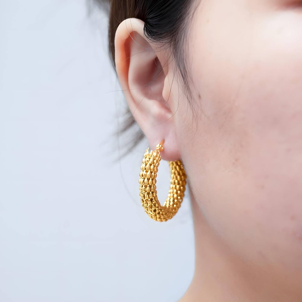 Image of Sestina Mesh Earrings
