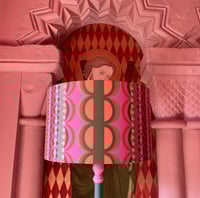 Image 2 of NEW Standard with Disc’o’ Pink/Sage Shade 