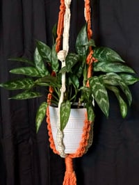 Image 1 of 1970’s Orange Creamsicle Macrame Plant Hanger 