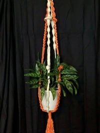 Image 3 of 1970’s Orange Creamsicle Macrame Plant Hanger 