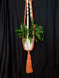 Image 2 of 1970’s Orange Creamsicle Macrame Plant Hanger 