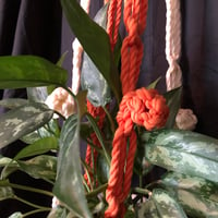 Image 4 of 1970’s Orange Creamsicle Macrame Plant Hanger 