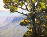 Image 1 of Through The Trees, Burragorang