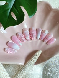 Image 2 of Pink Sandy Beaches