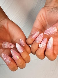 Image 4 of Pink Sandy Beaches