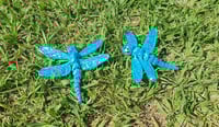 Image 1 of Dragonfly