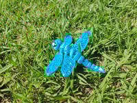 Image 2 of Dragonfly