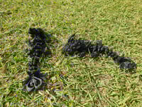 Image 2 of Baby Black Dark Heart Dragons 