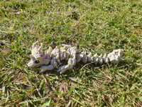 Image 1 of Baby Autumn Brown Dragons