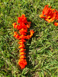 Image 2 of Baby Orange/Red Autumn Dragons