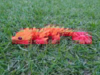 Image 1 of Baby Orange/Red Sunflower Dragon