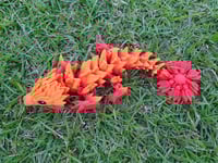 Image 2 of Baby Orange/Red Sunflower Dragon