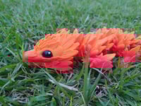 Image 3 of Baby Orange/Red Sunflower Dragon