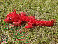Image 1 of Baby Red Rose Dragons