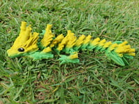 Image 1 of Baby Bamboo Dragons