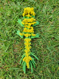 Image 2 of Baby Bamboo Dragons