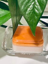 Image 1 of Botanical Exfoliating Soap Bars