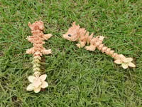 Image 2 of Baby Orangey Cherry Blossom Dragon 